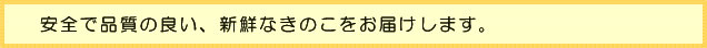 ご注文承っております